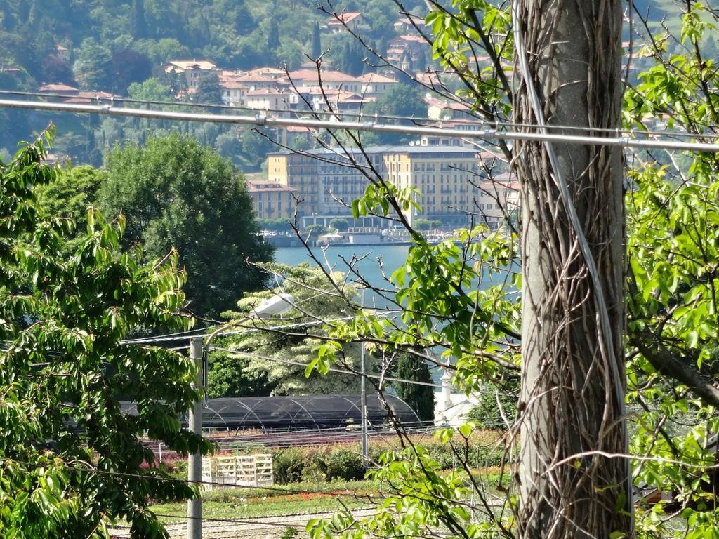Luisa's House Ferienhaus Bellagio