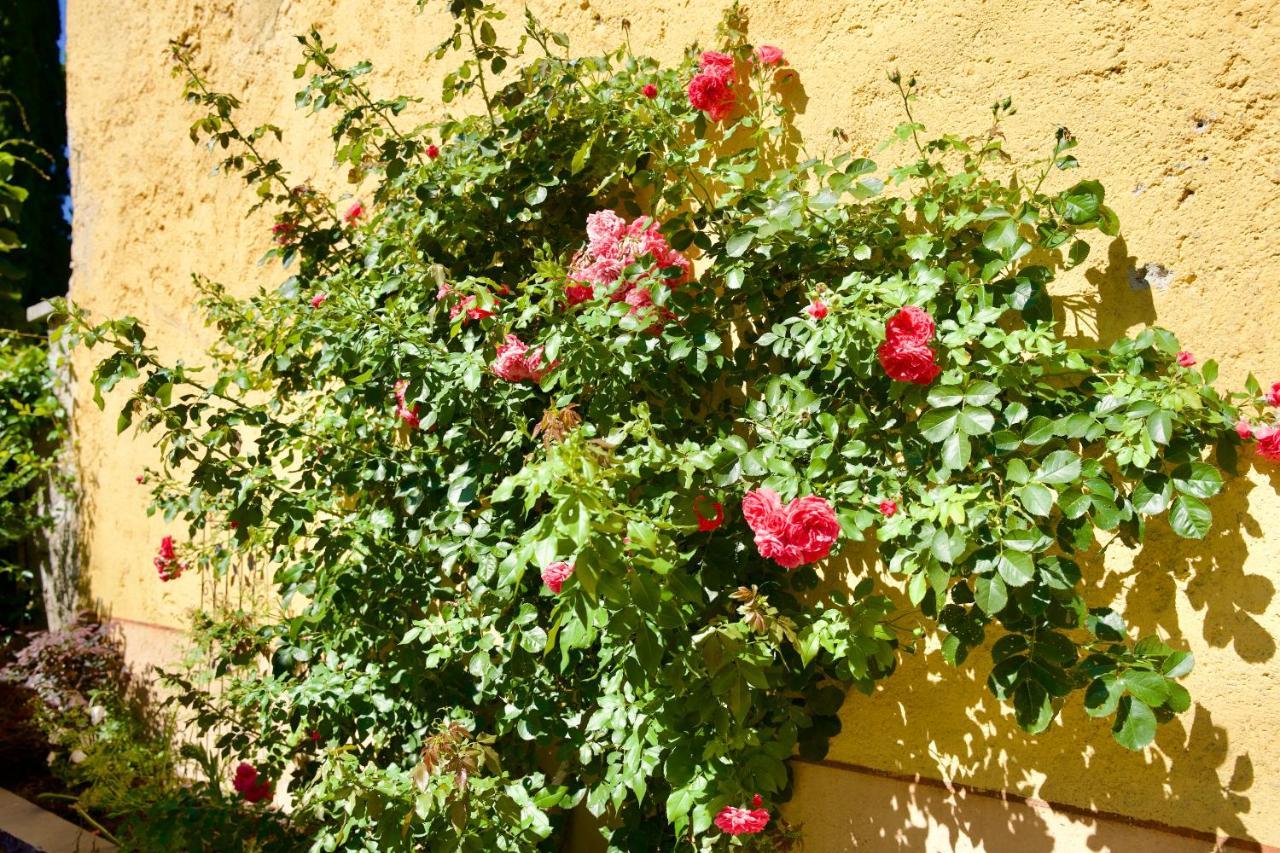Il Portichetto Hotel 3*