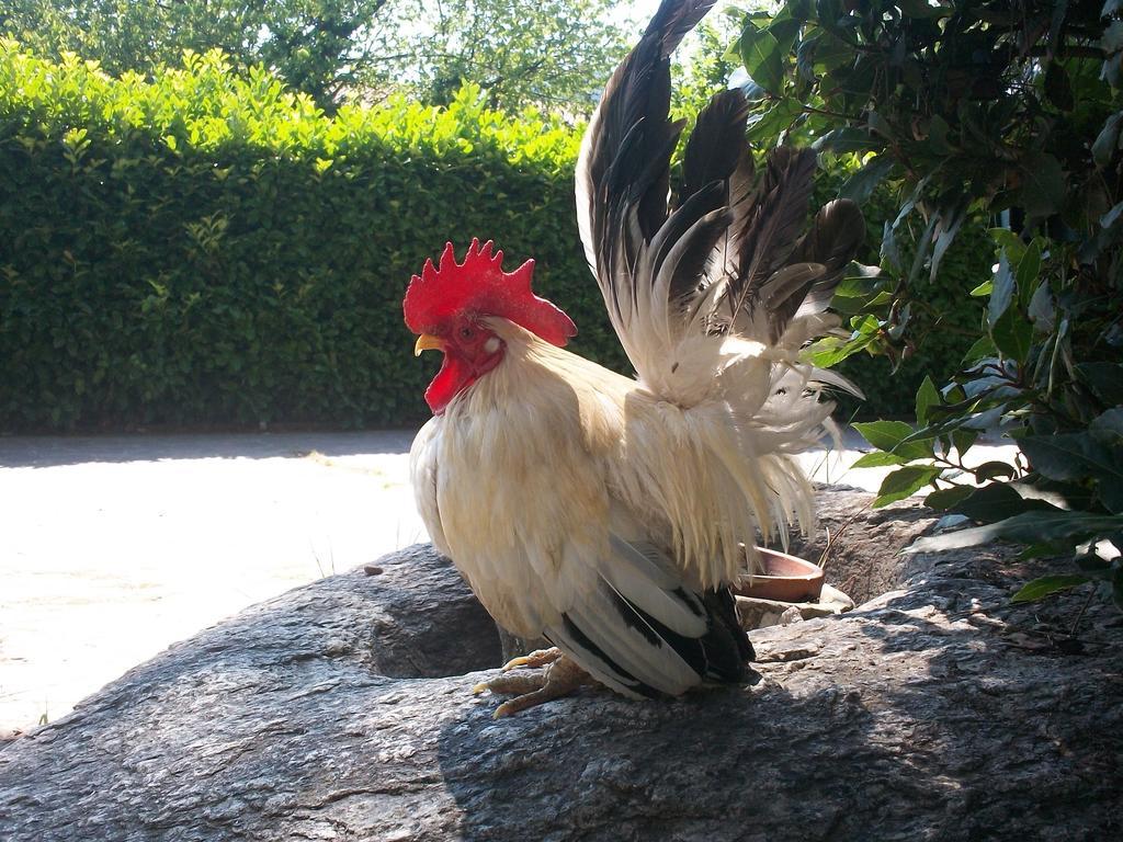 B&B Agrifarm