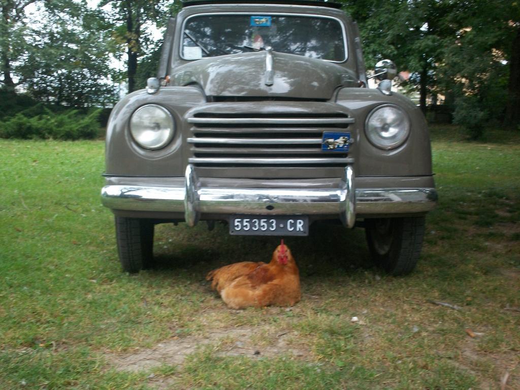B&B Agrifarm