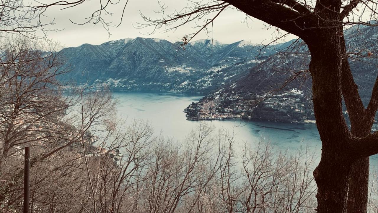 Il Riccio Cernobbio