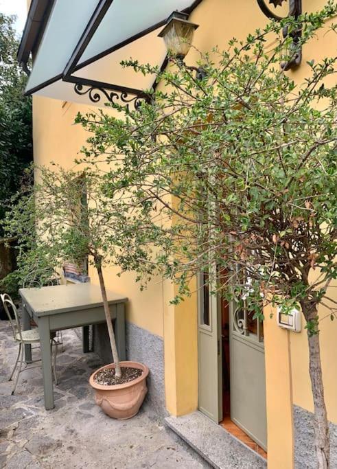 Apartment Il Riccio *