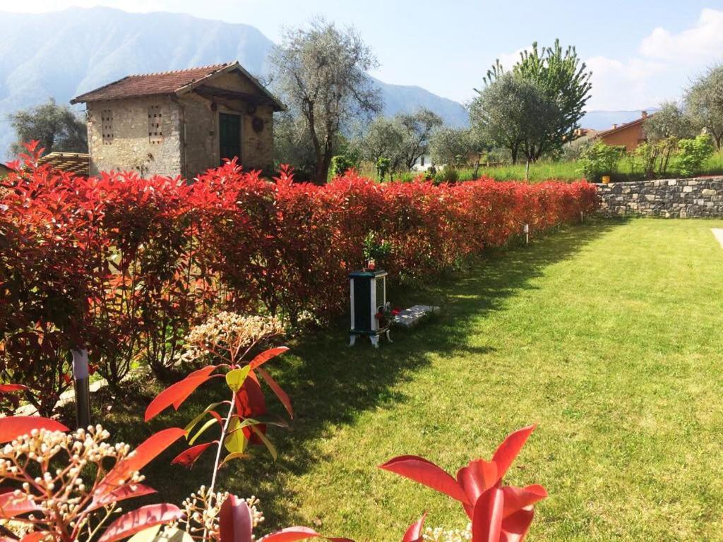 Via Volta Lenno Holiday home Tremezzo