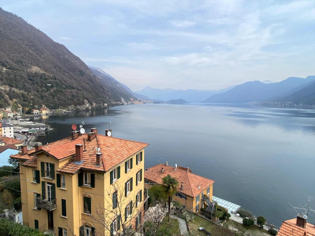 The Silver With Terrace View Apartment
