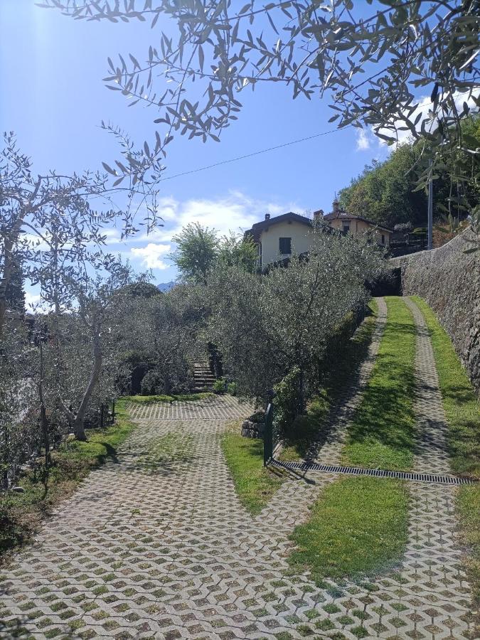 Casa Delle Olive 1 Apartment *