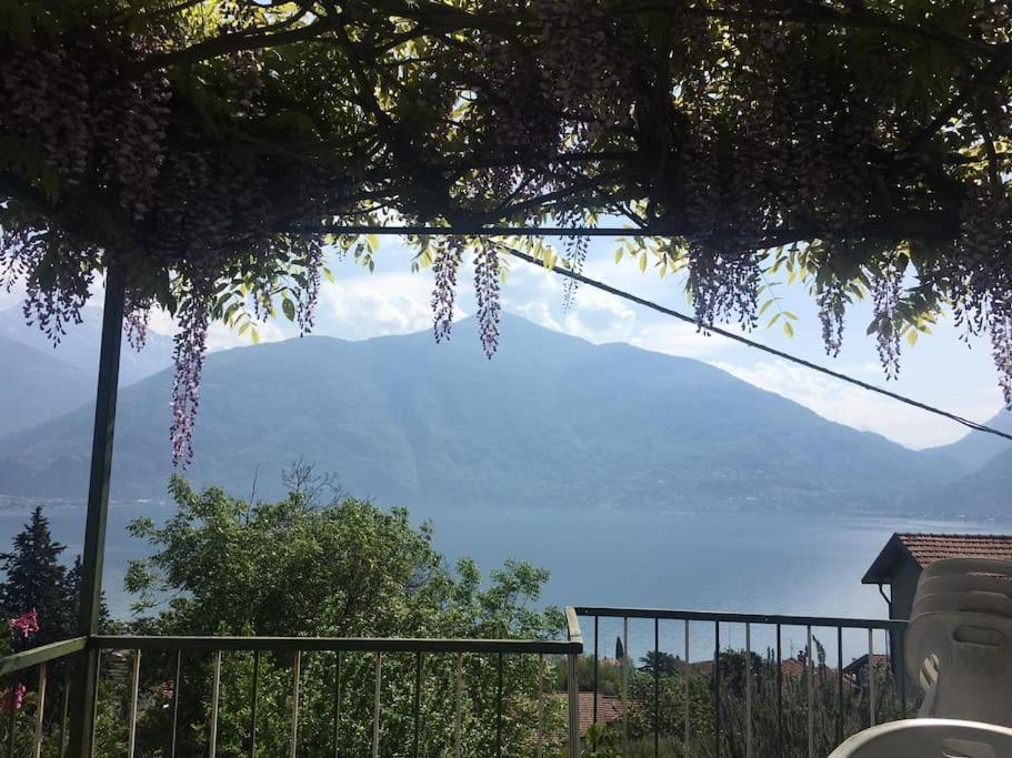 Apartment Ca' Dei Corti
