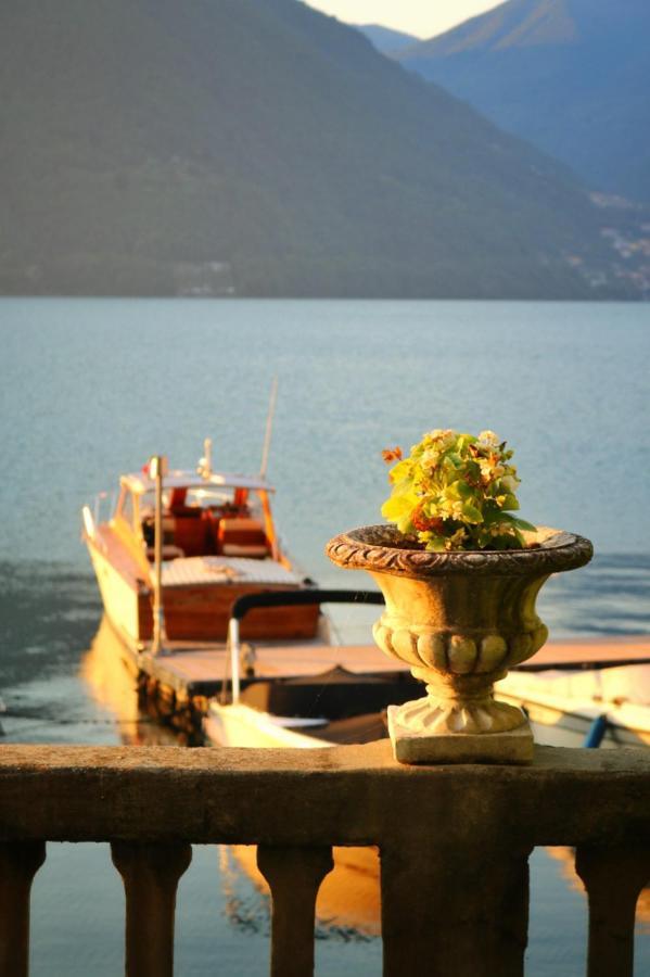 Ortensie & Oleandri Al - By Myhomeincomo * Argegno