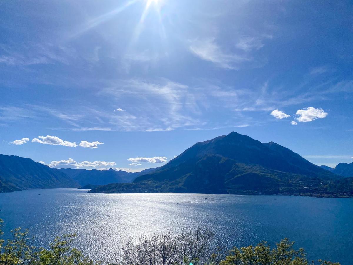 Vista Paradiso I - Garten