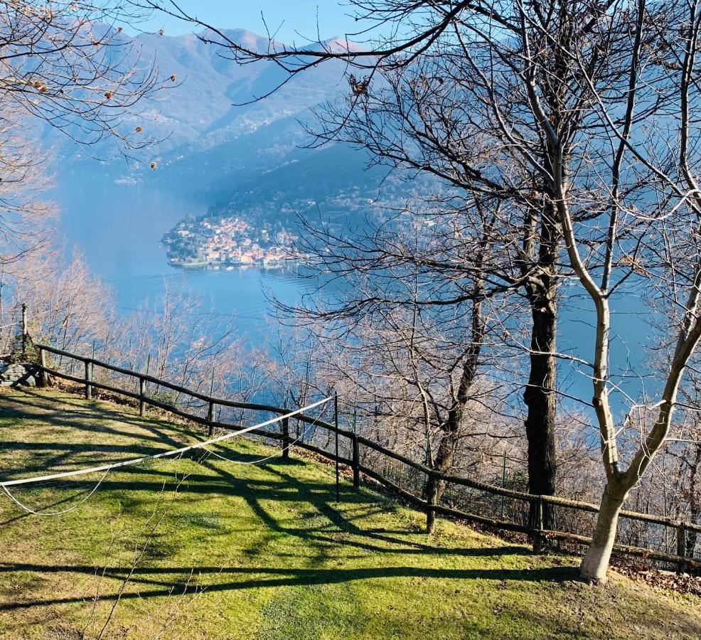 Apartment Il Riccio