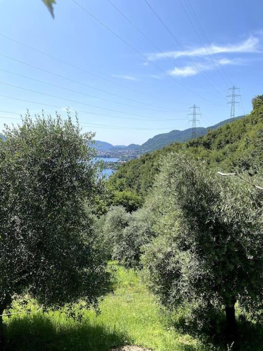 Holiday home La Dimora Degli Olivi *