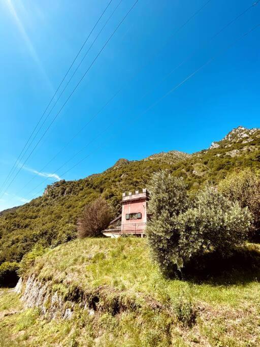La Dimora Degli Olivi Holiday home *