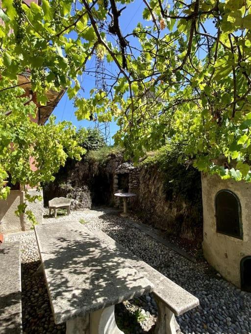 Holiday home La Dimora Degli Olivi