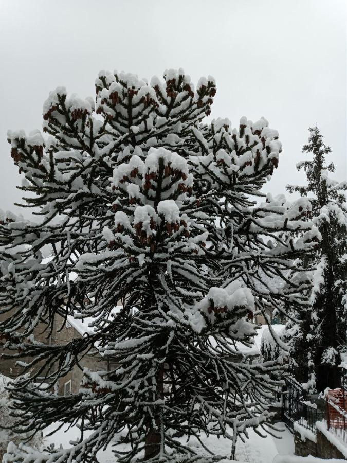 Il Giardino Di Cres Bed & Breakfast Esino Lario