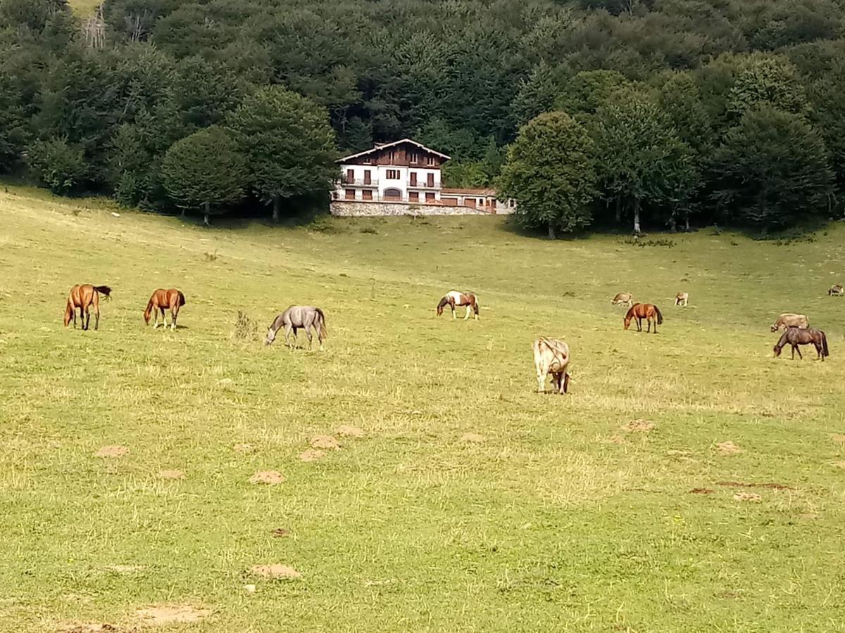 Il Giardino Di Cres * Esino Lario