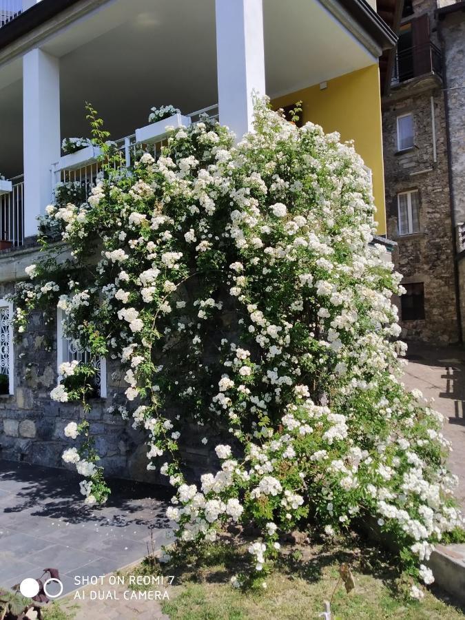 Il Giardino Di Cres Esino Lario
