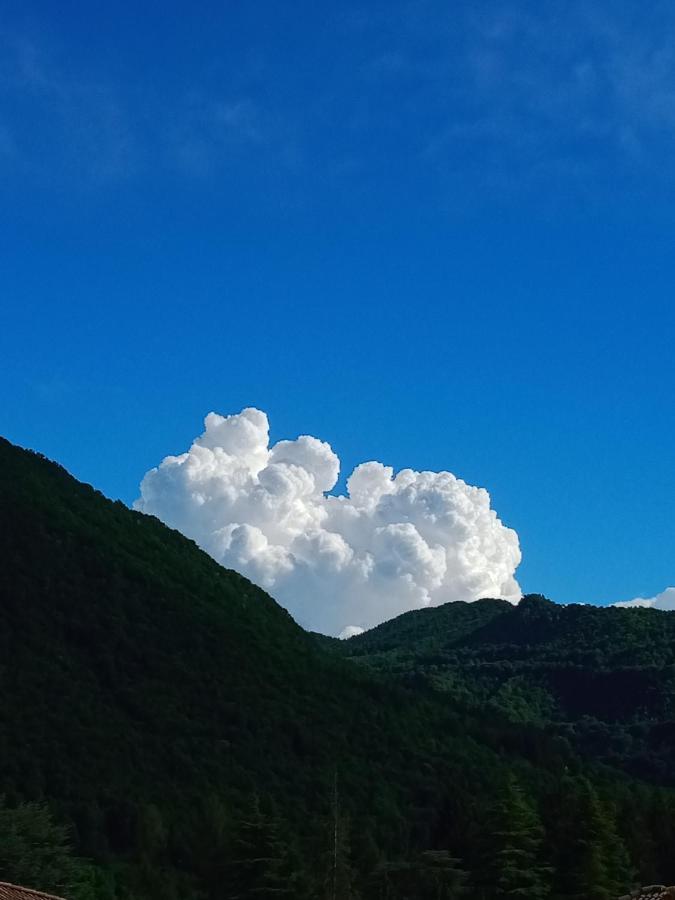 Il Giardino Di Cres *