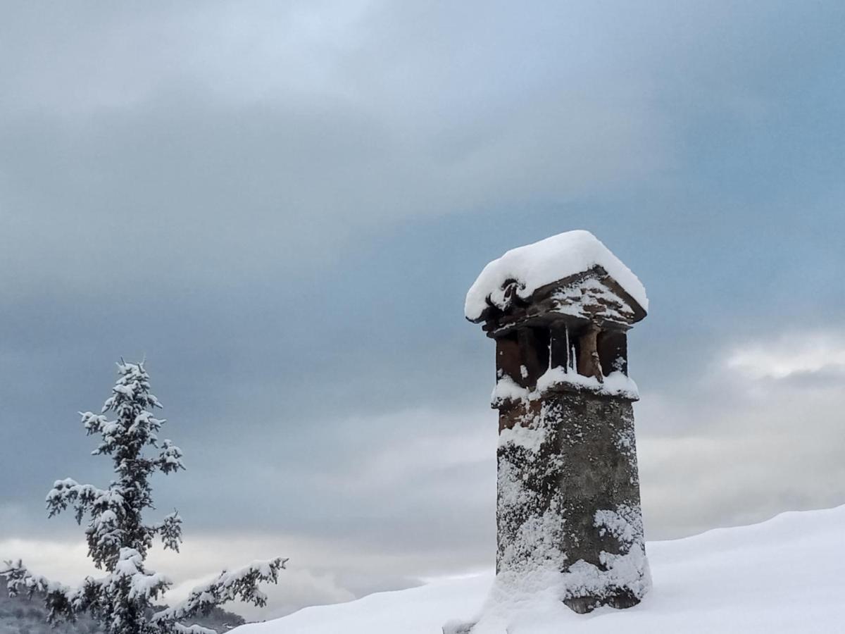 Bed & Breakfast Il Giardino Di Cres *