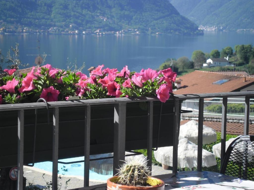 Aparthotel Letizia Ossuccio