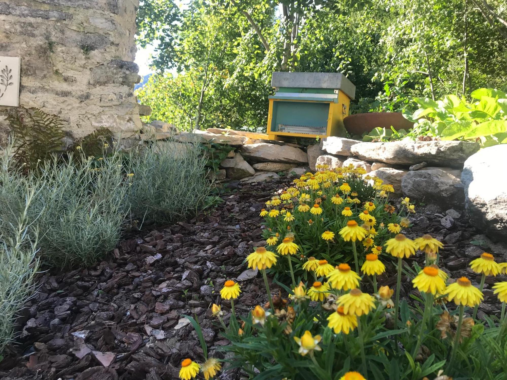 Casa 1000fiori