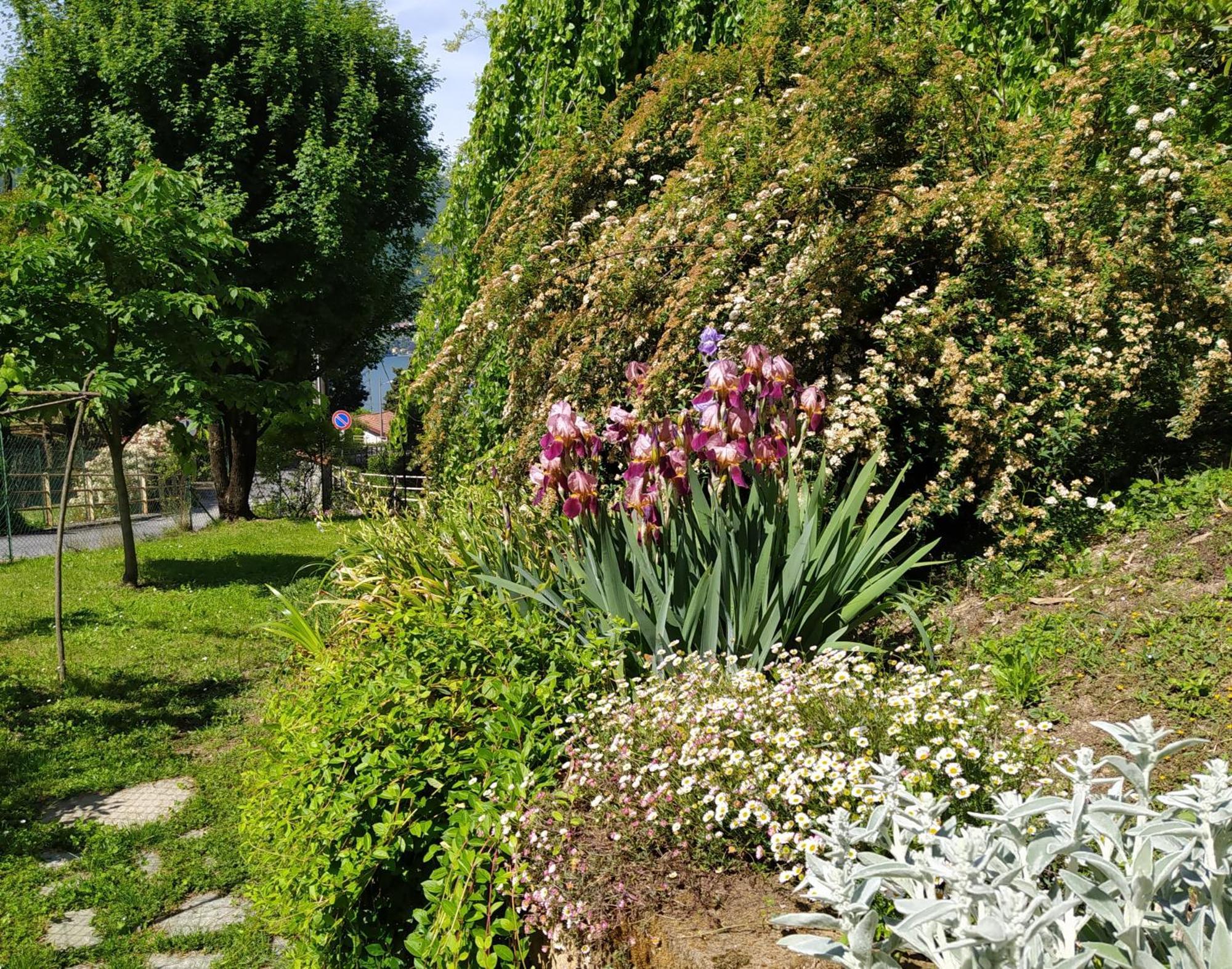 Bed & Breakfast Il Bogno