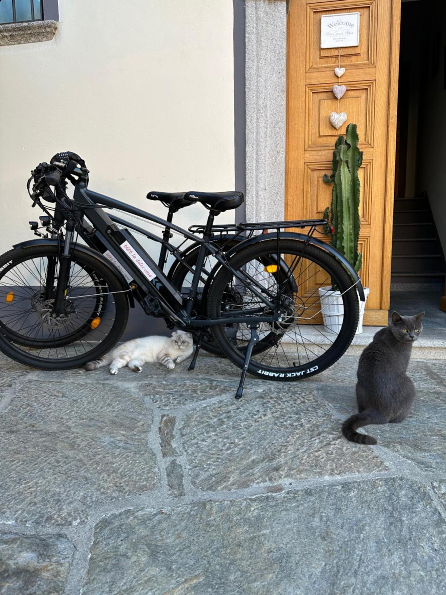 La Dolce Casa *