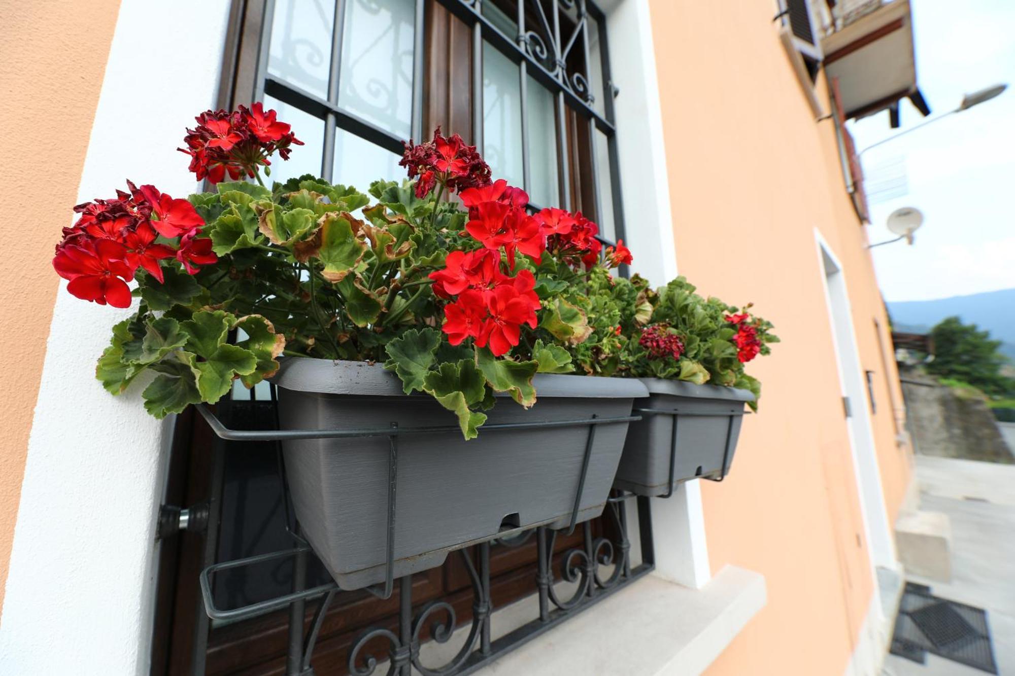 Apartment La Ca' Del Pola