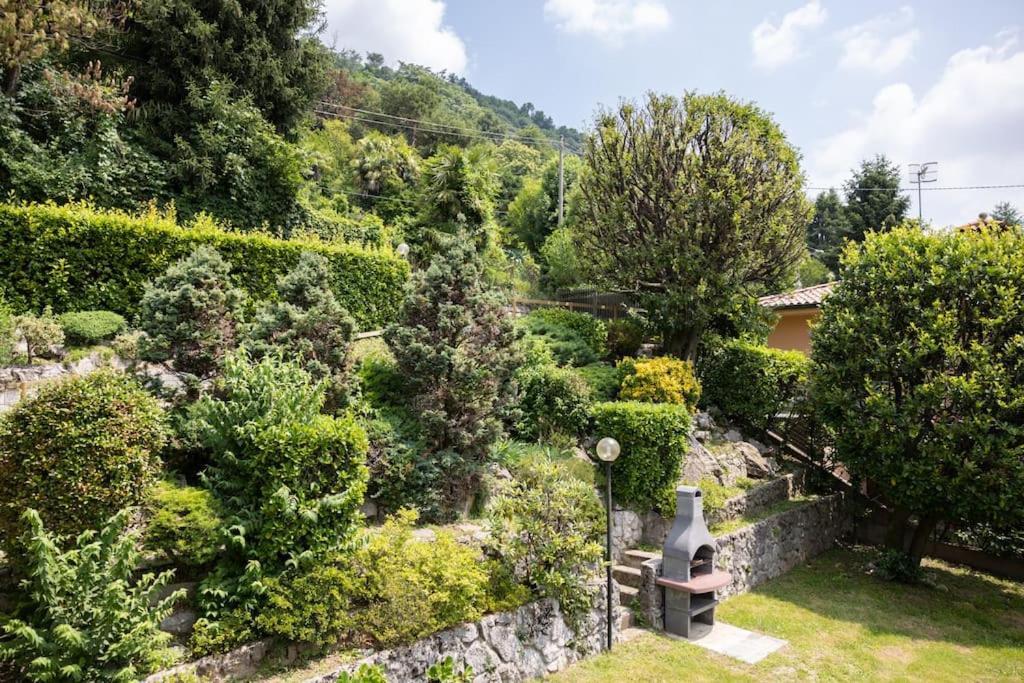 Garden View Apartment *