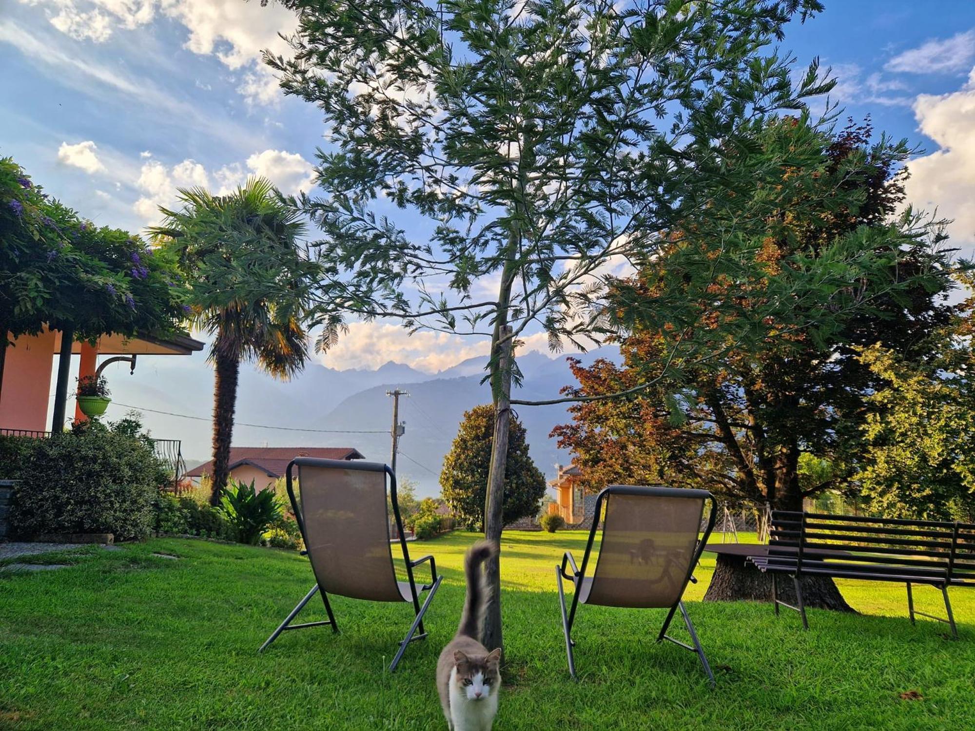 Foresteria Simona Bed & Breakfast *
