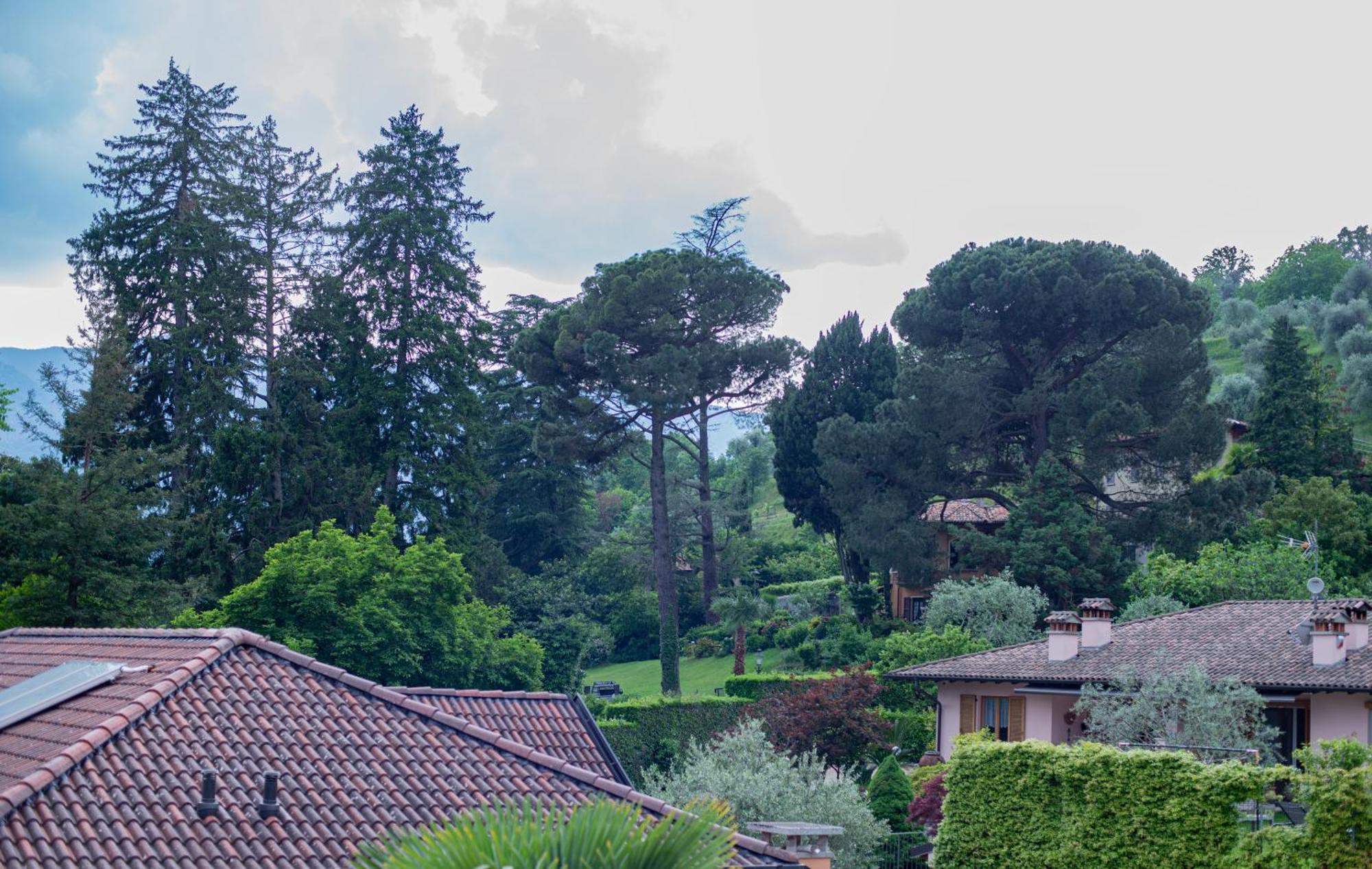 Serene Garden Getaway Cadenabbia