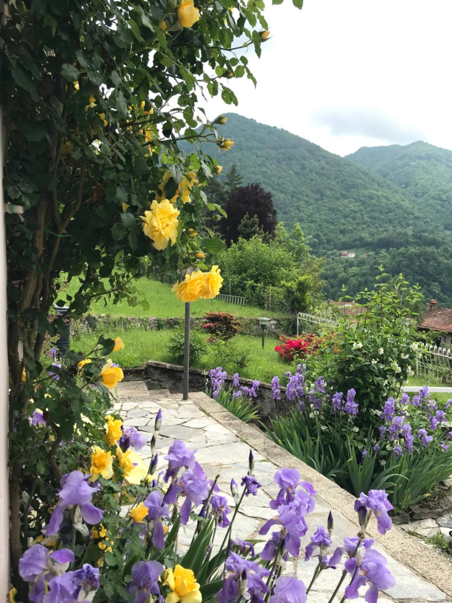 In Oleandra With Privet Garden & Pool