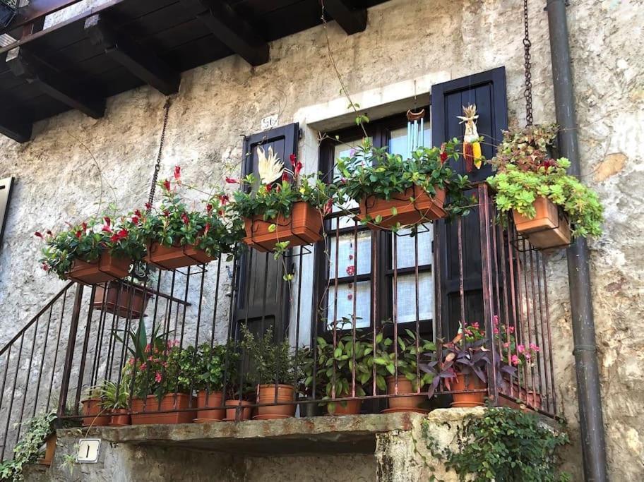 Ca' Del Borgo