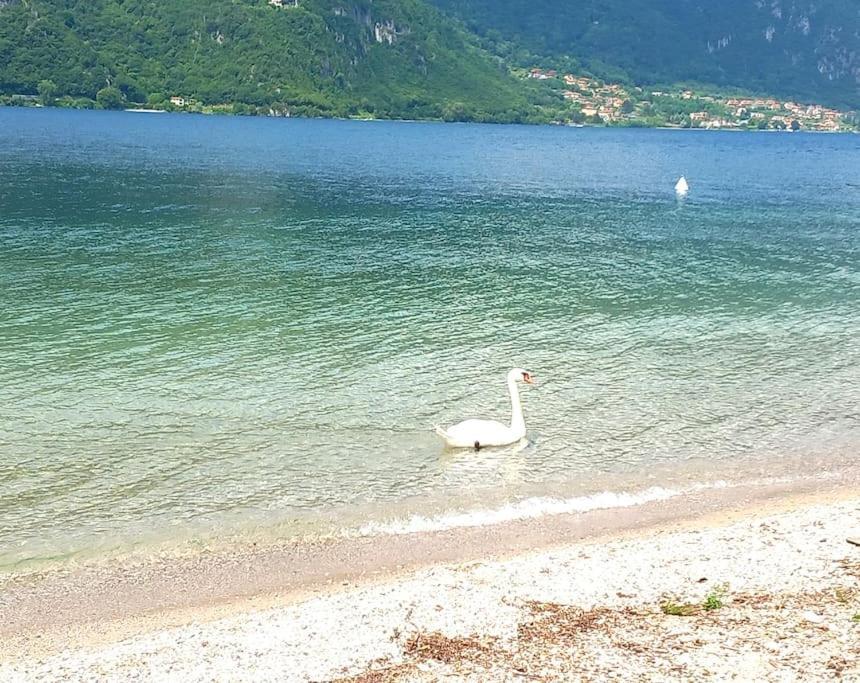 Ca' Del Borgo Abbadia Lariana
