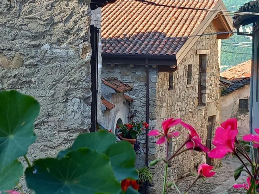 Ca' Del Borgo Apartment