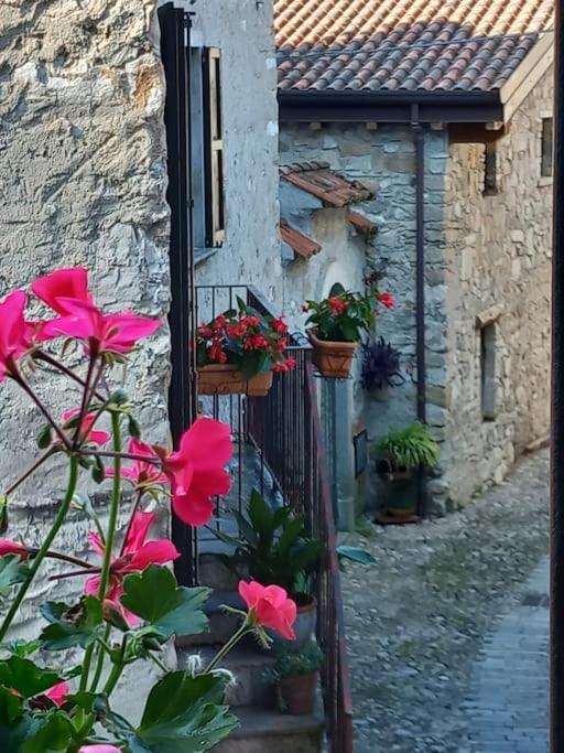 Ca' Del Borgo