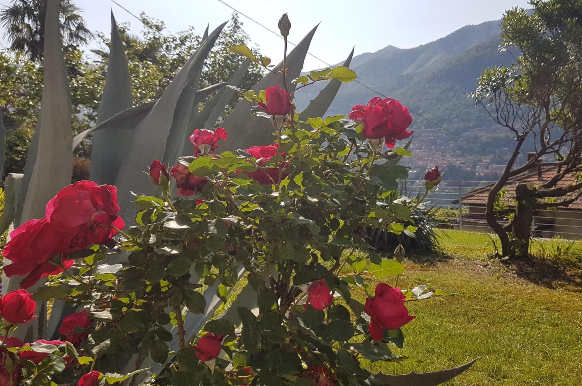 Appartamento Flora