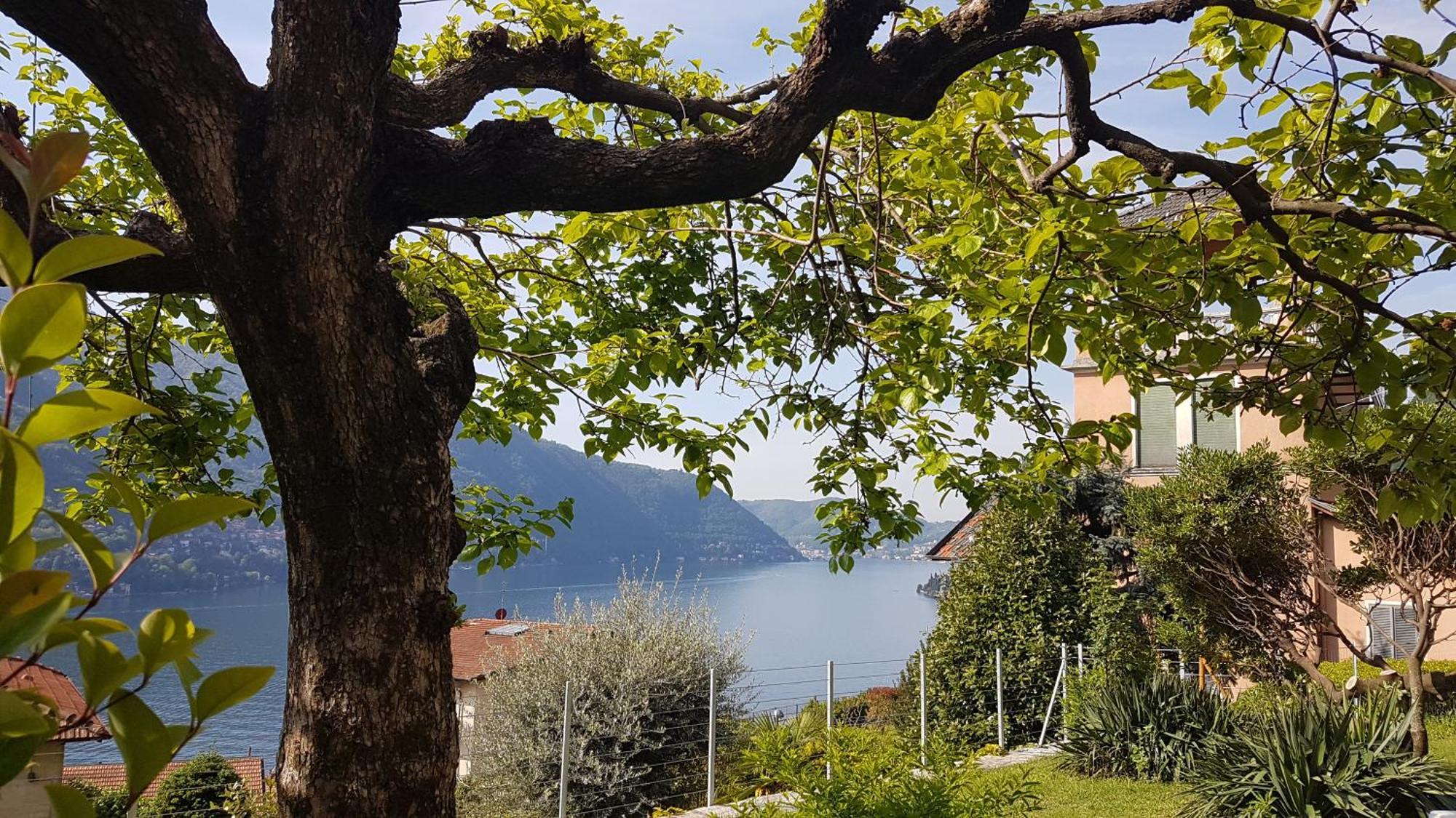 Flora Appartamento Moltrasio