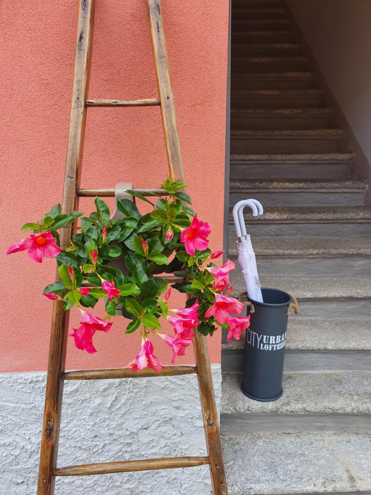 Corte Sant'andrea Apartment