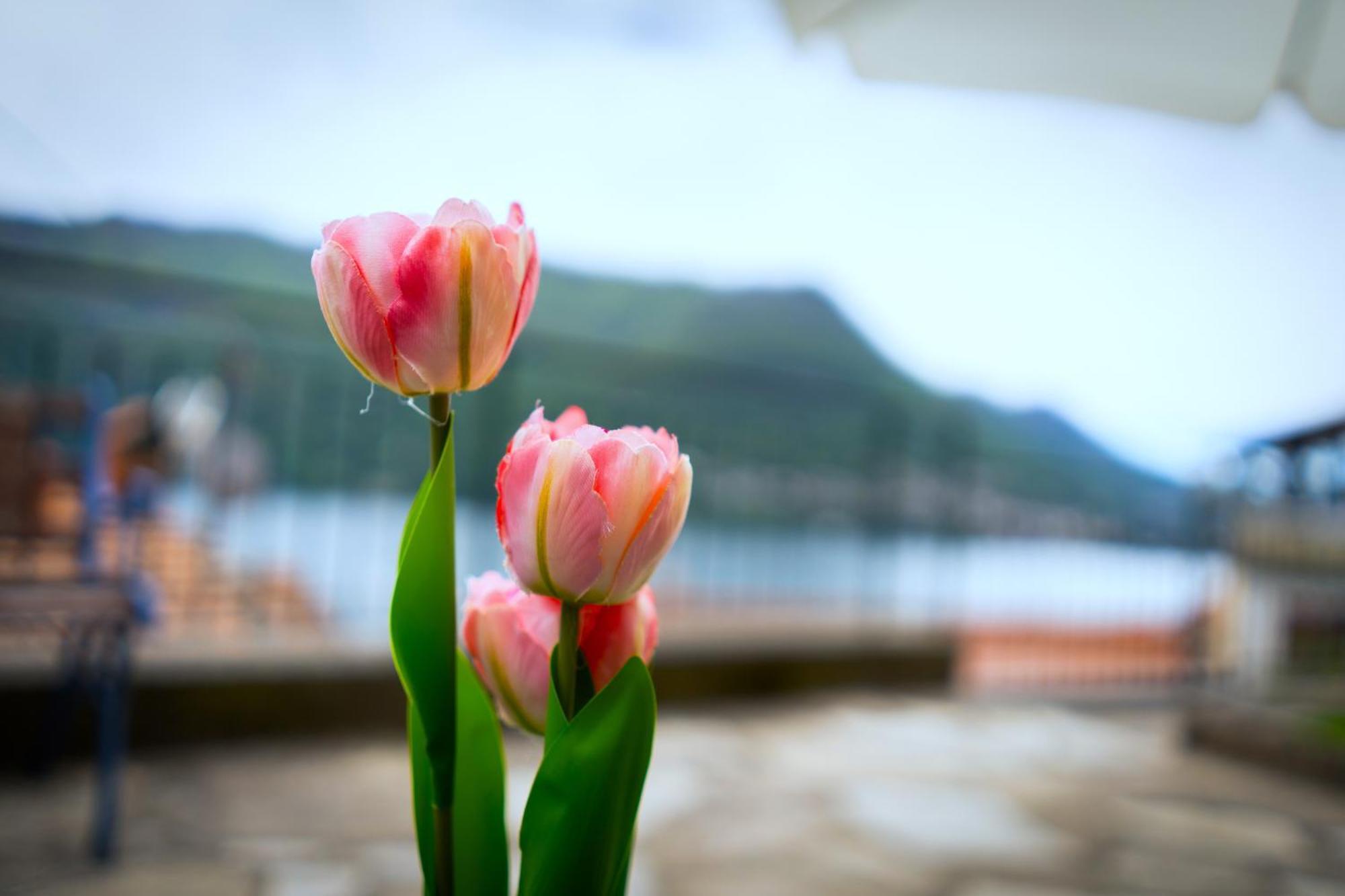 Terrazza Di Luisa Parking Wifi Vista Holiday home *
