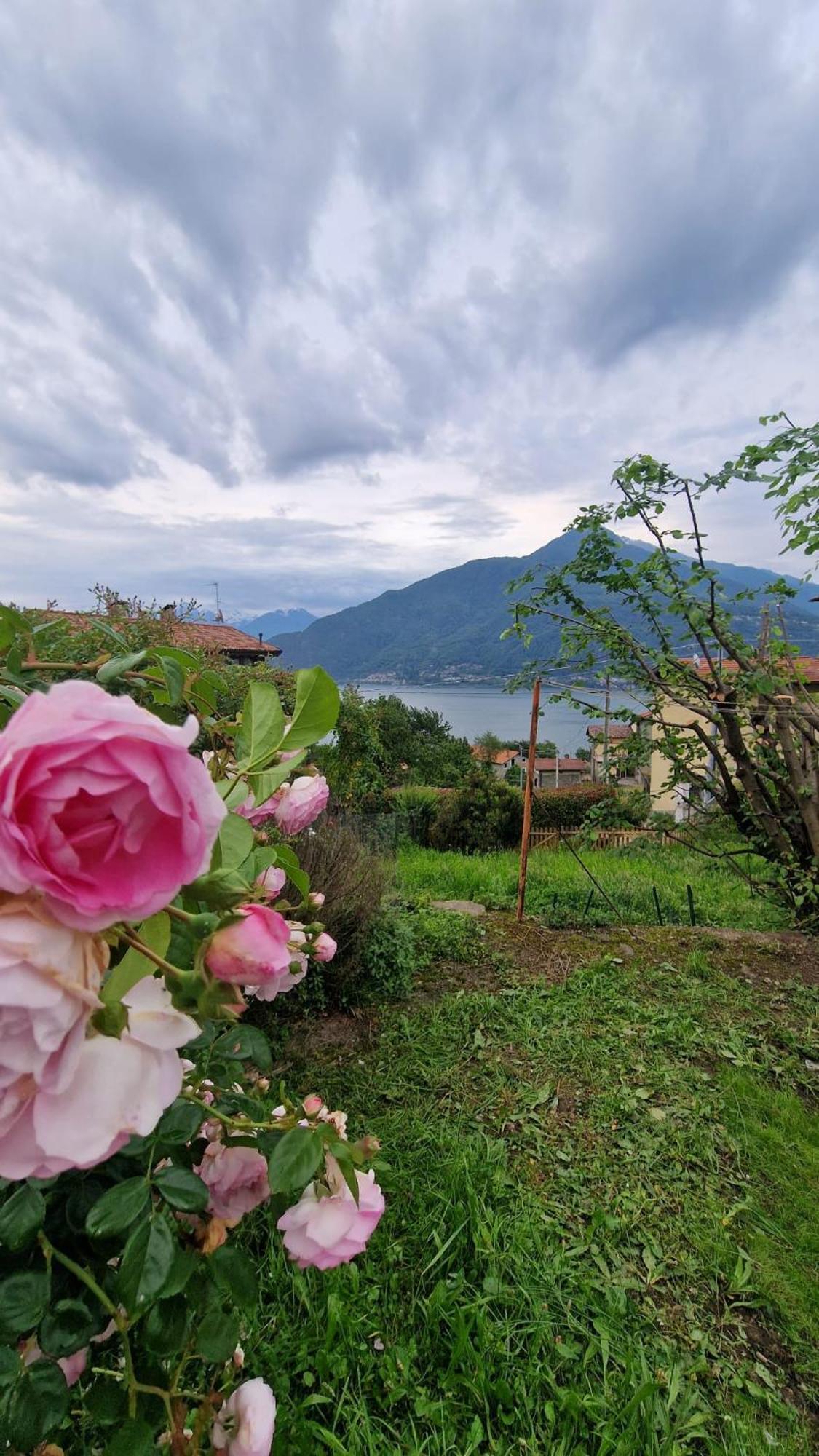 Villa Con Giardino Privato Cremia