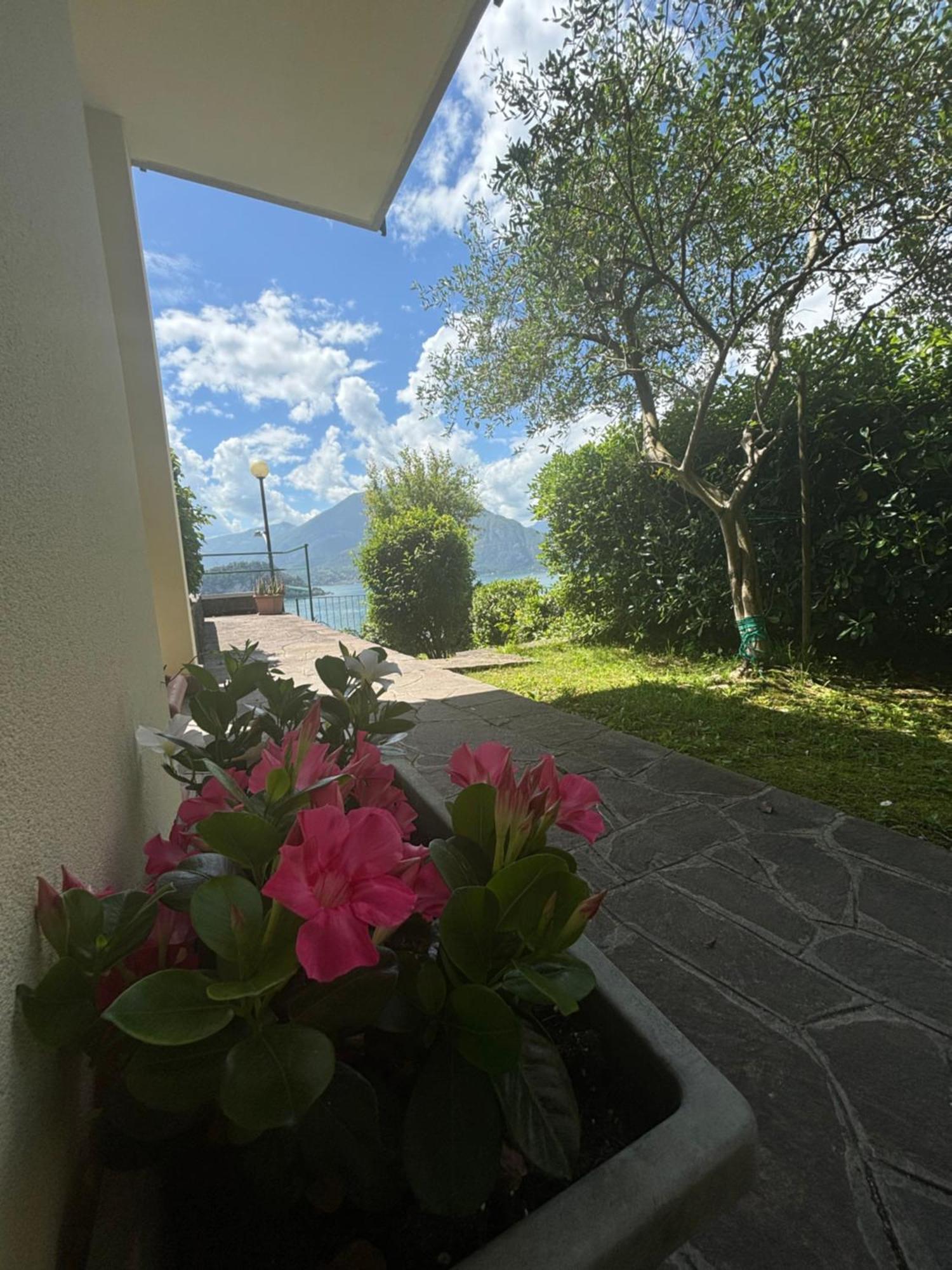 Ortensia - Perfect For Couple And Pets Holiday home *