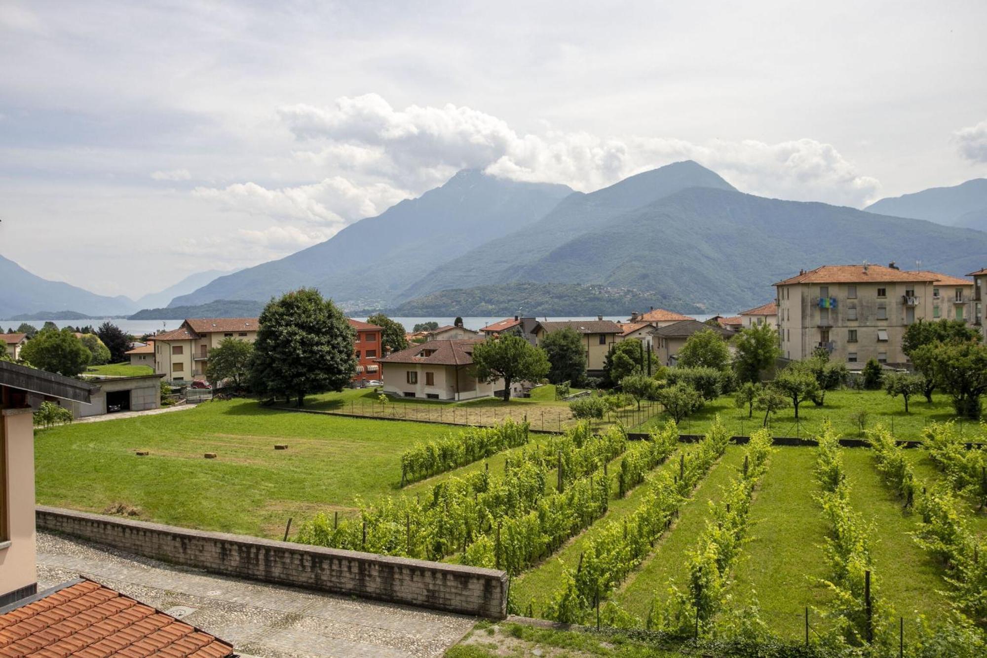 Terrazza Del Nonno By Halldis Apartment Dongo