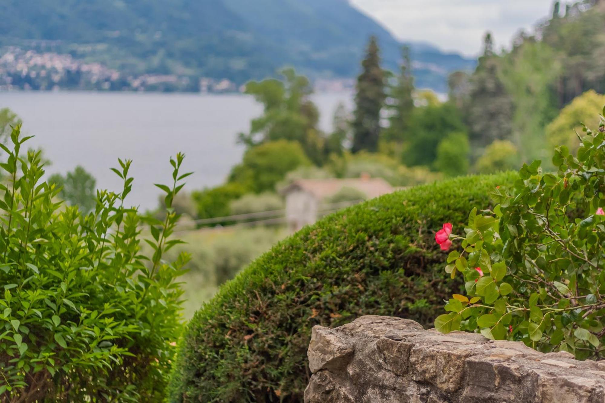 Ca' Maria Bellavista By Wonderful Italy Appartamento