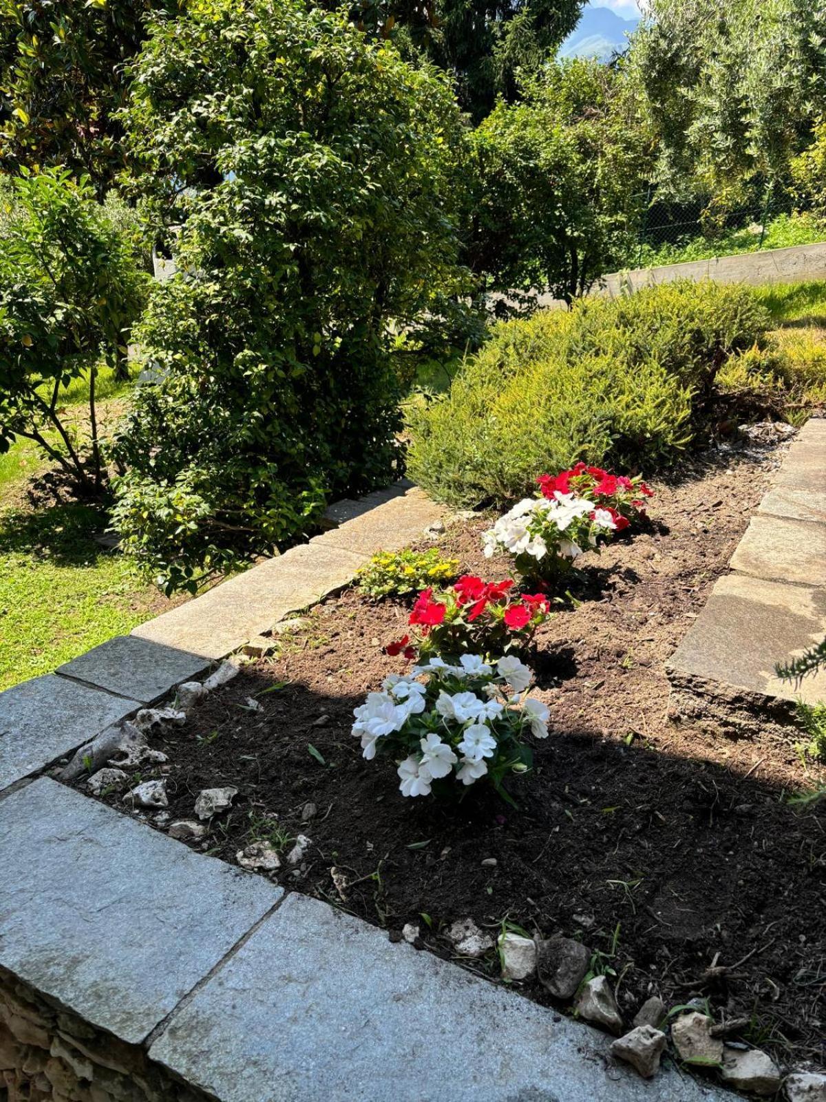 Rosa Del Apartment *