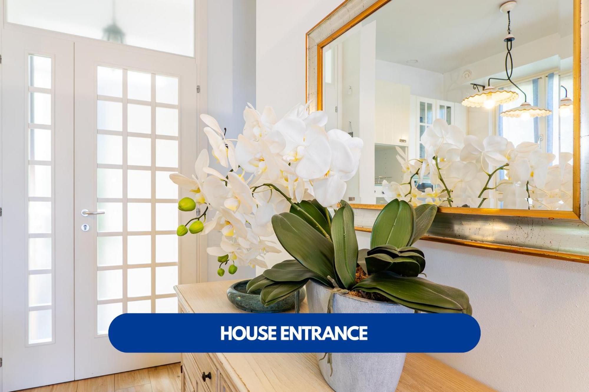 Julia's House