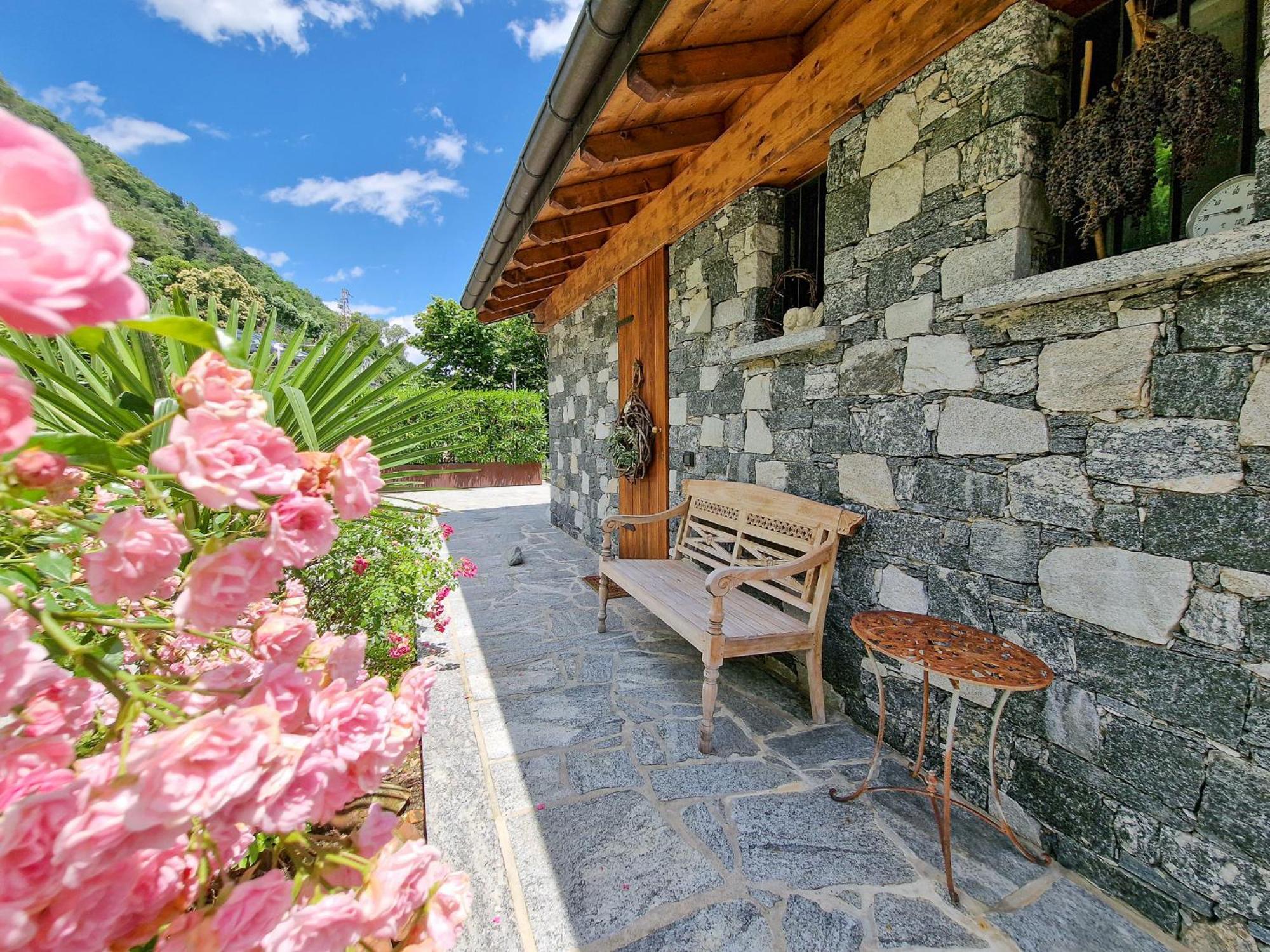 Oasi Ulivi Holiday home