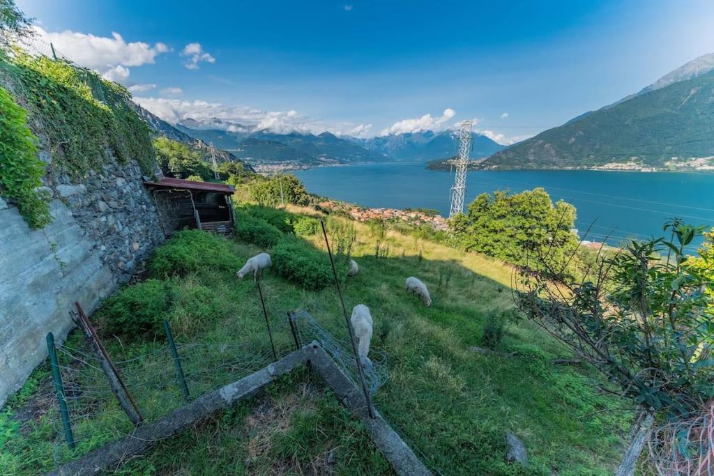Holiday home Eagle House, Vista Lago Pazzesca