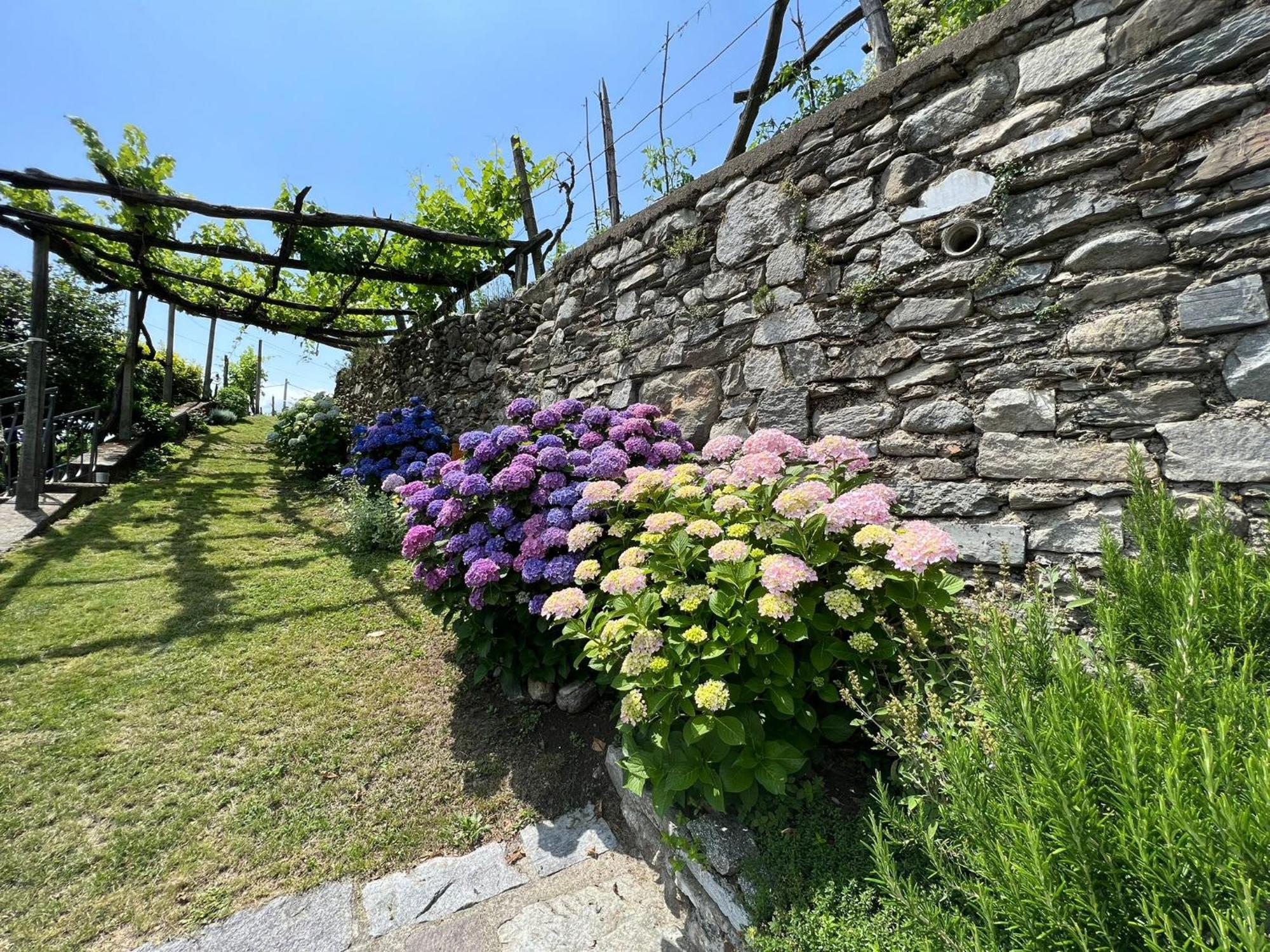 Casa Nonna Nina