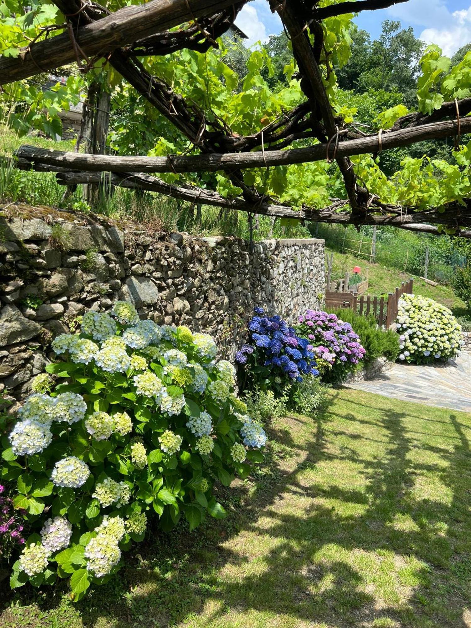 Holiday home Casa Nonna Nina