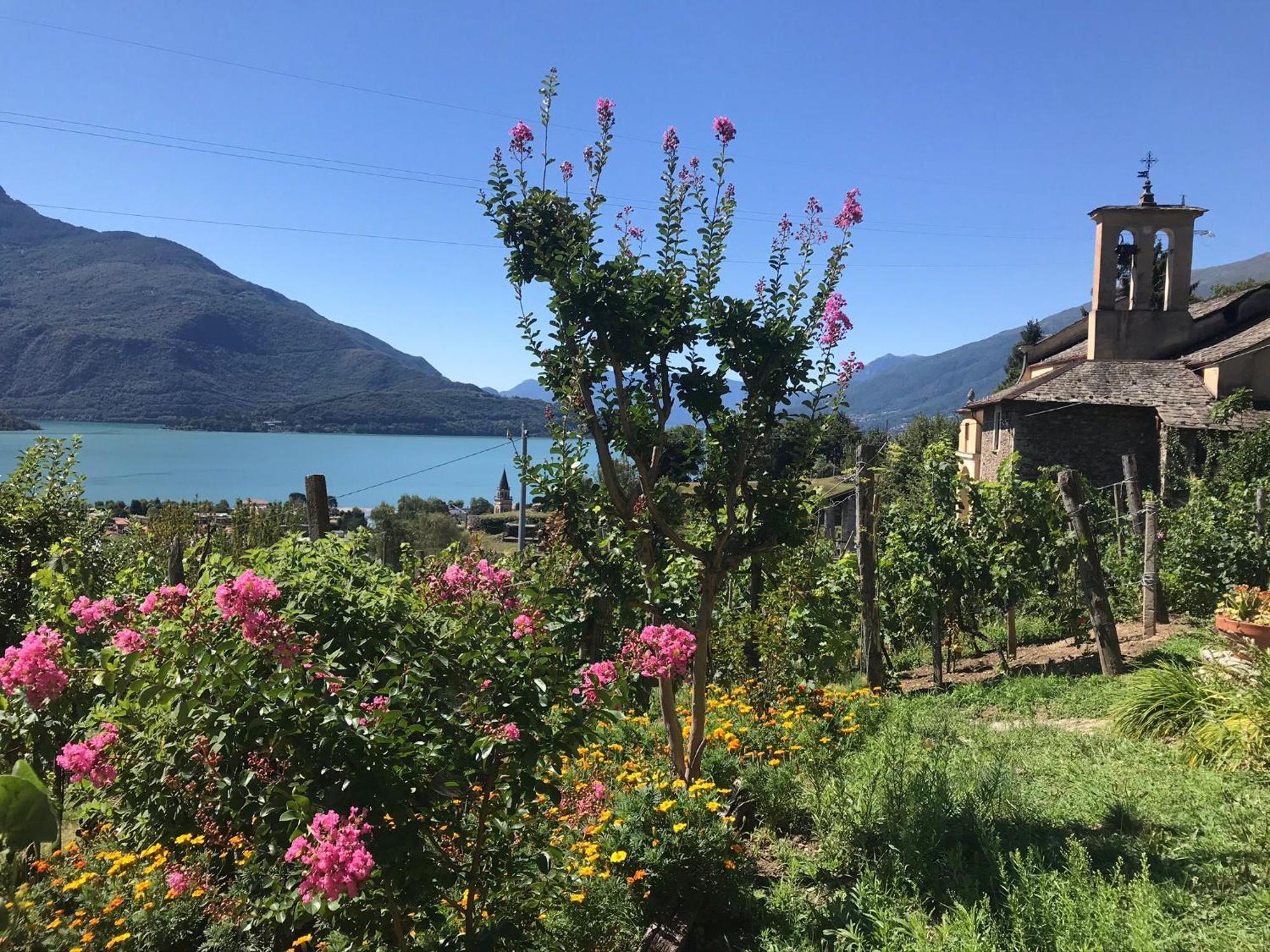 Holiday home Casa Nonna Nina *