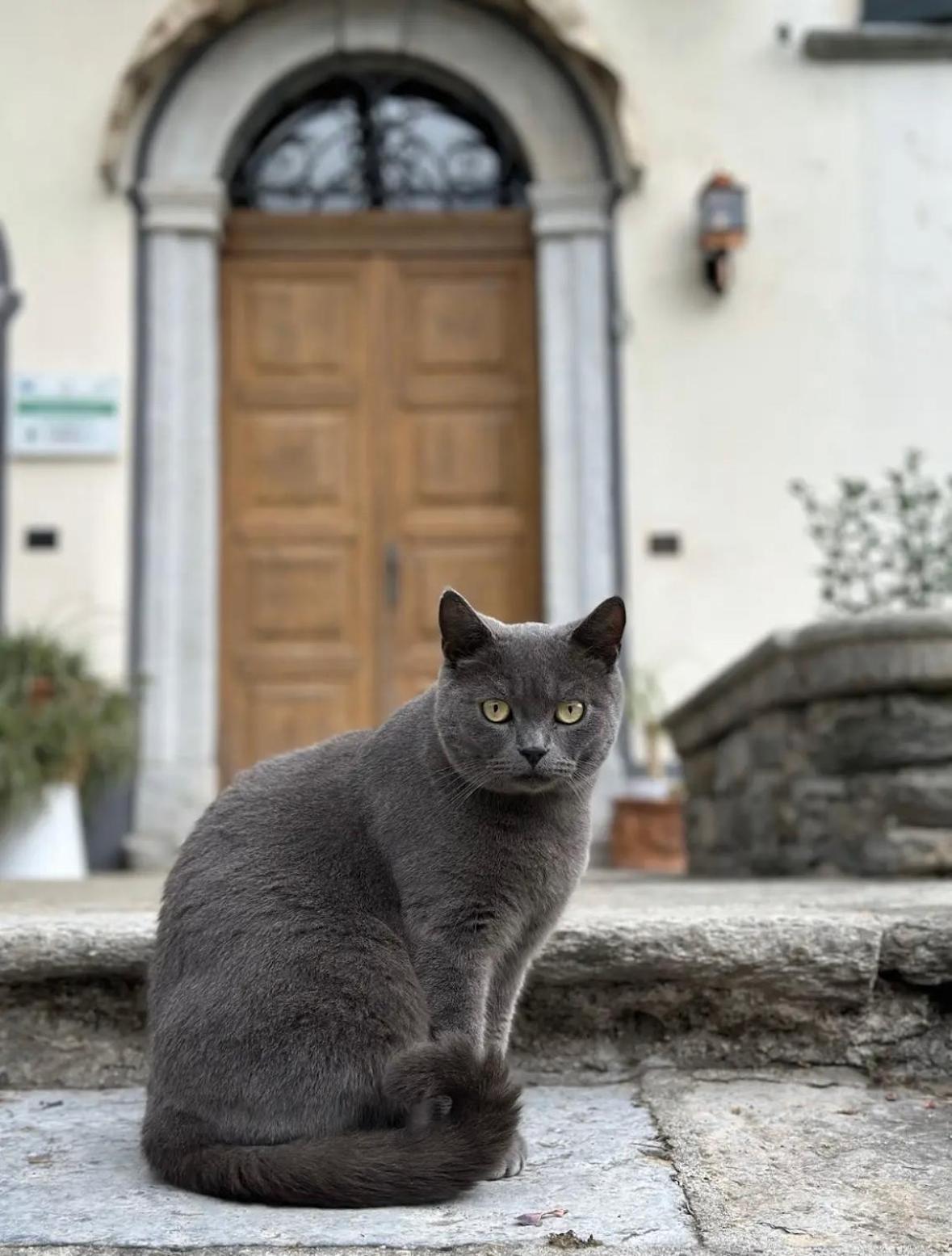 La Dolce Casa Bed & Breakfast Cremia